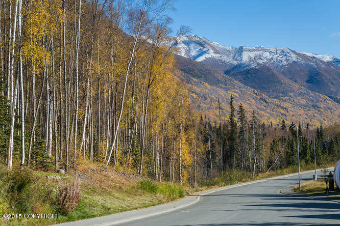 20170 Eagles Nest Court, Eagle River, AK 99577
