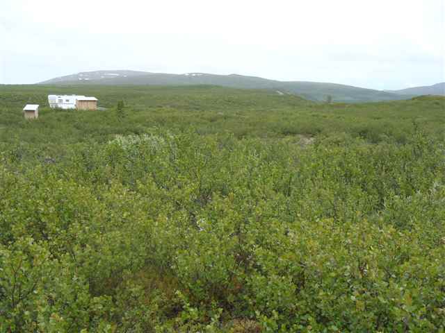 nhn Summit Lake, Out Of Area, United States 99586