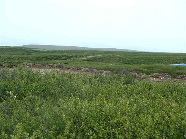 nhn Summit Lake, Out Of Area, United States 99586