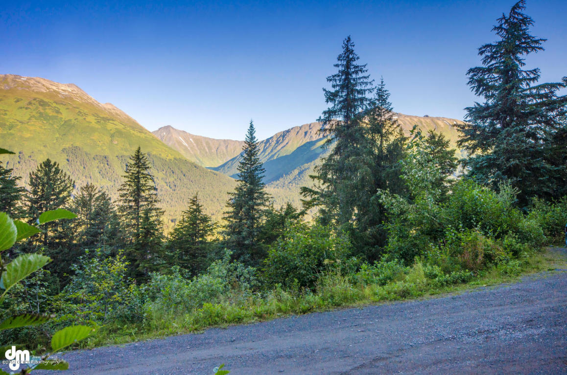 L18 B28 Echo Ridge Drive, Girdwood, AK 99587