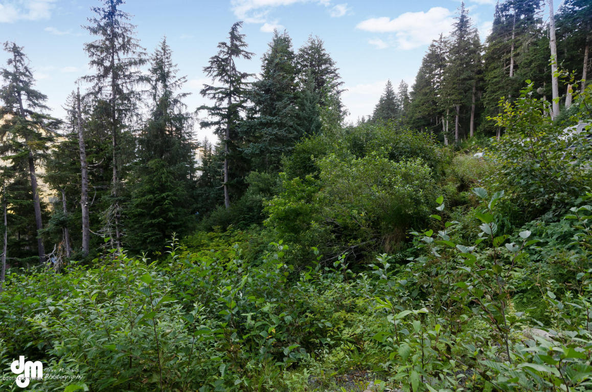 L18 B28 Echo Ridge Drive, Girdwood, AK 99587