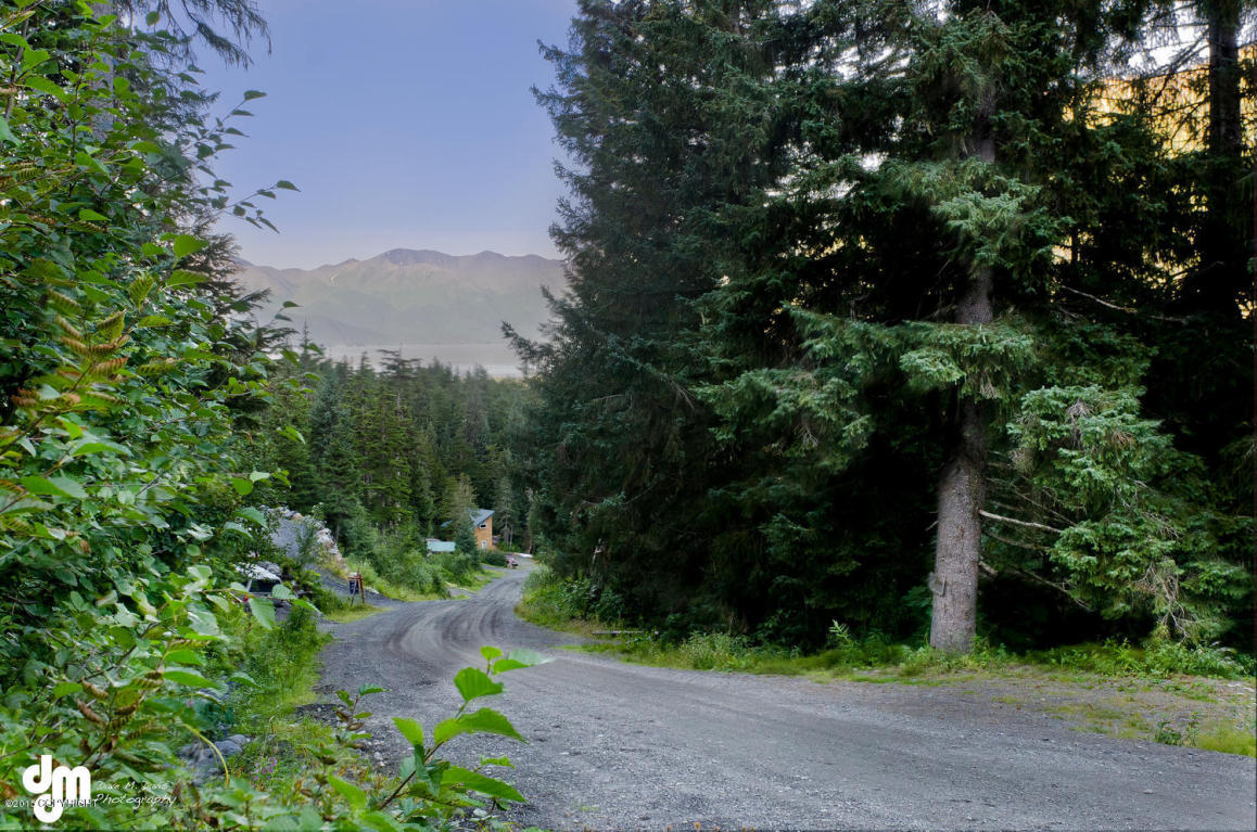 L18 B28 Echo Ridge Drive, Girdwood, AK 99587