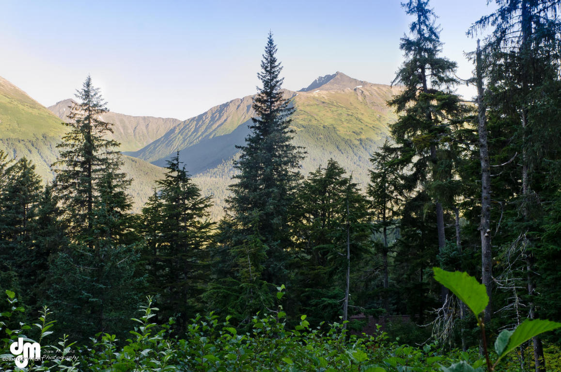 L18 B28 Echo Ridge Drive, Girdwood, AK 99587