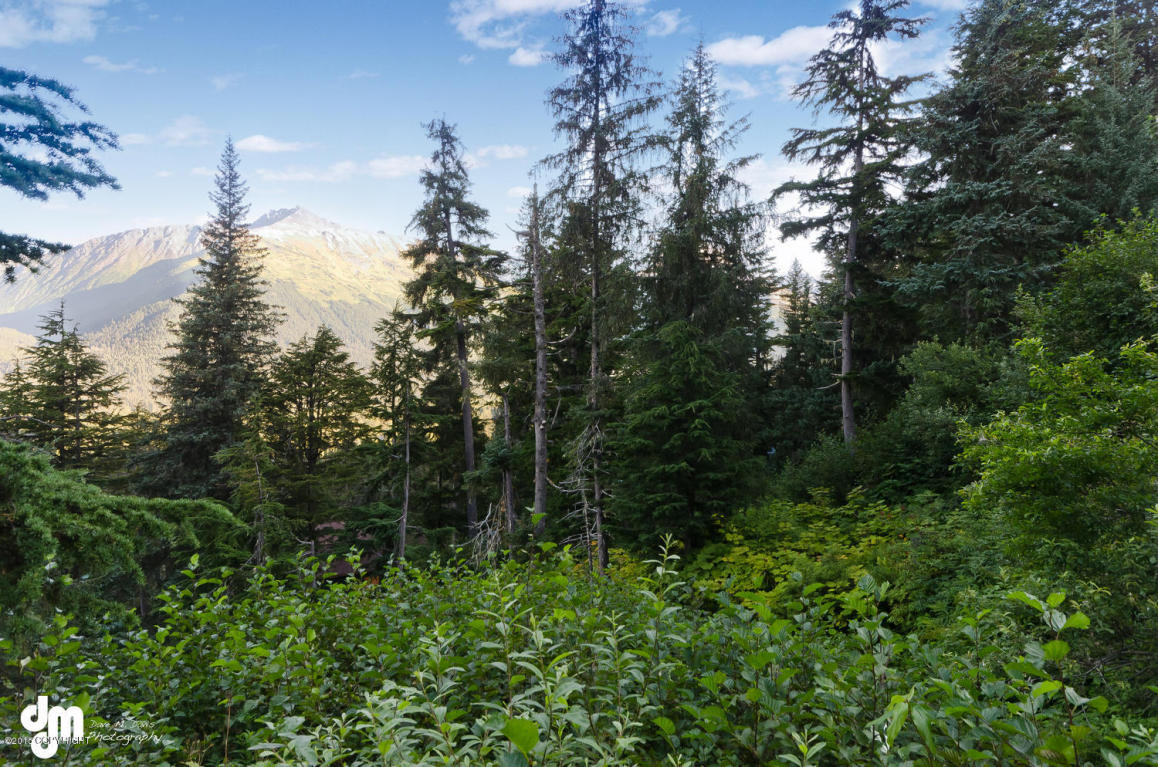 L18 B28 Echo Ridge Drive, Girdwood, AK 99587