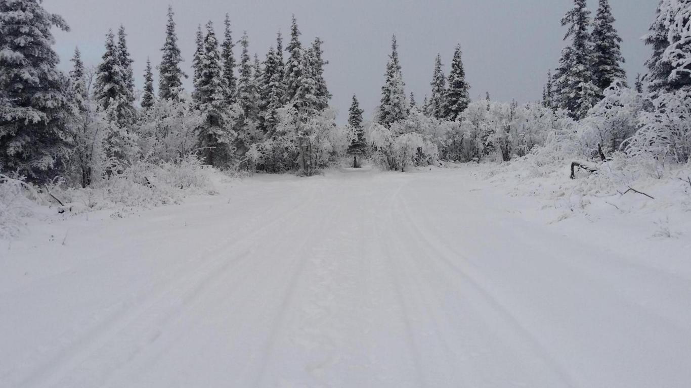 Tr 15 Woodlot Road, Glennallen, AK 99588