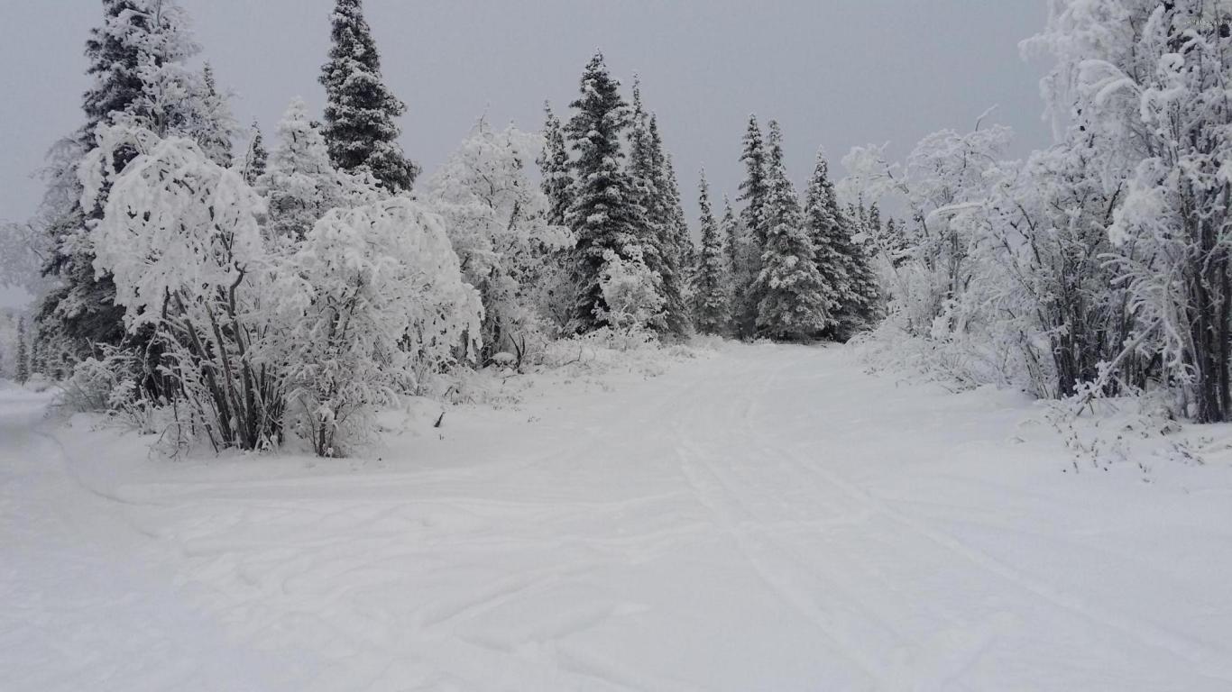 Tr 15 Woodlot Road, Glennallen, AK 99588