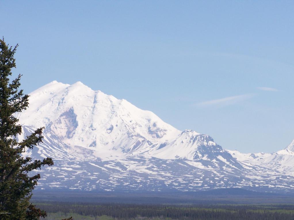 Tr 15 Woodlot Road, Glennallen, AK 99588