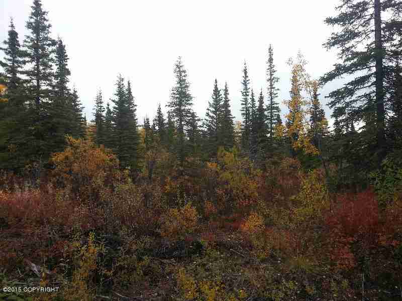 L5 B2 Woodlot Road, Glennallen, AK 99588