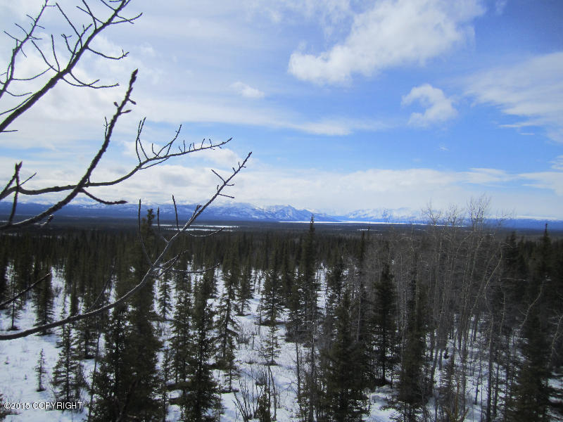 L5 B2 Woodlot Road, Glennallen, AK 99588
