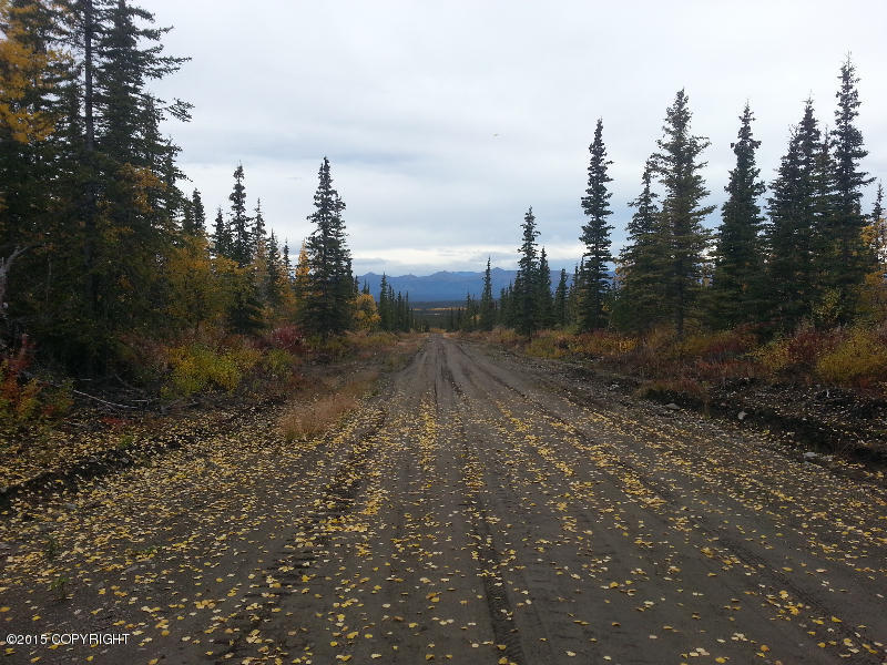 L5 B2 Woodlot Road, Glennallen, AK 99588