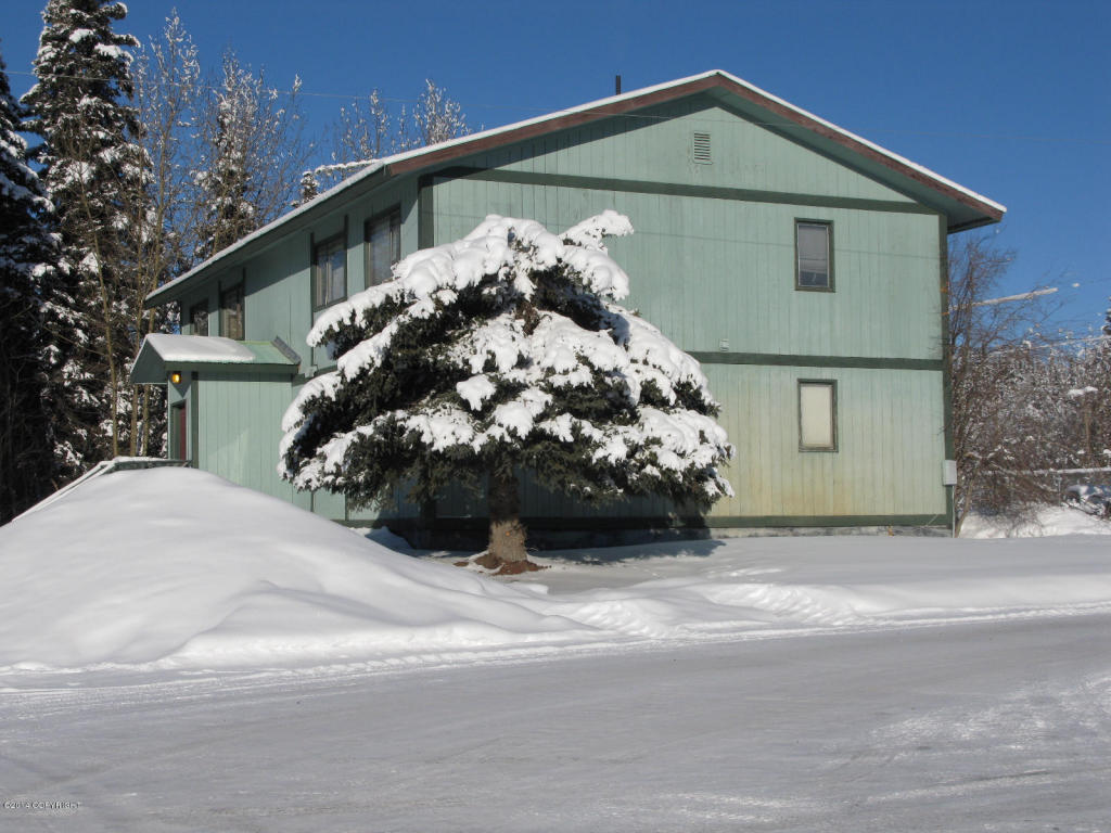 L1A Birch Street, Glennallen, AK 99588