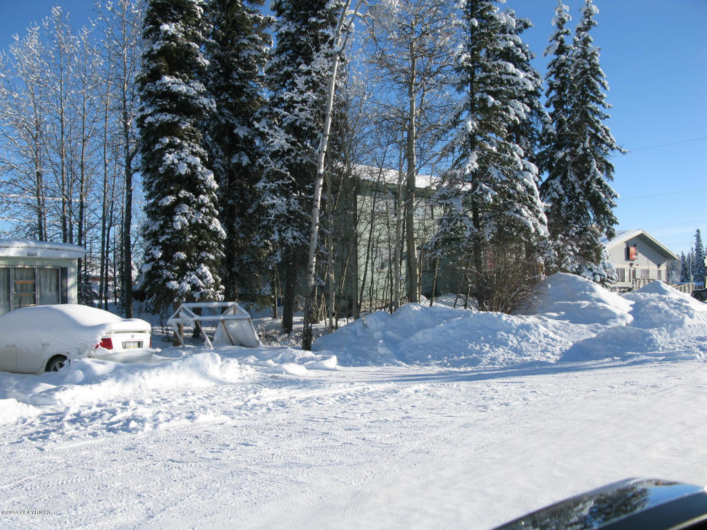 L1A Birch Street, Glennallen, AK 99588