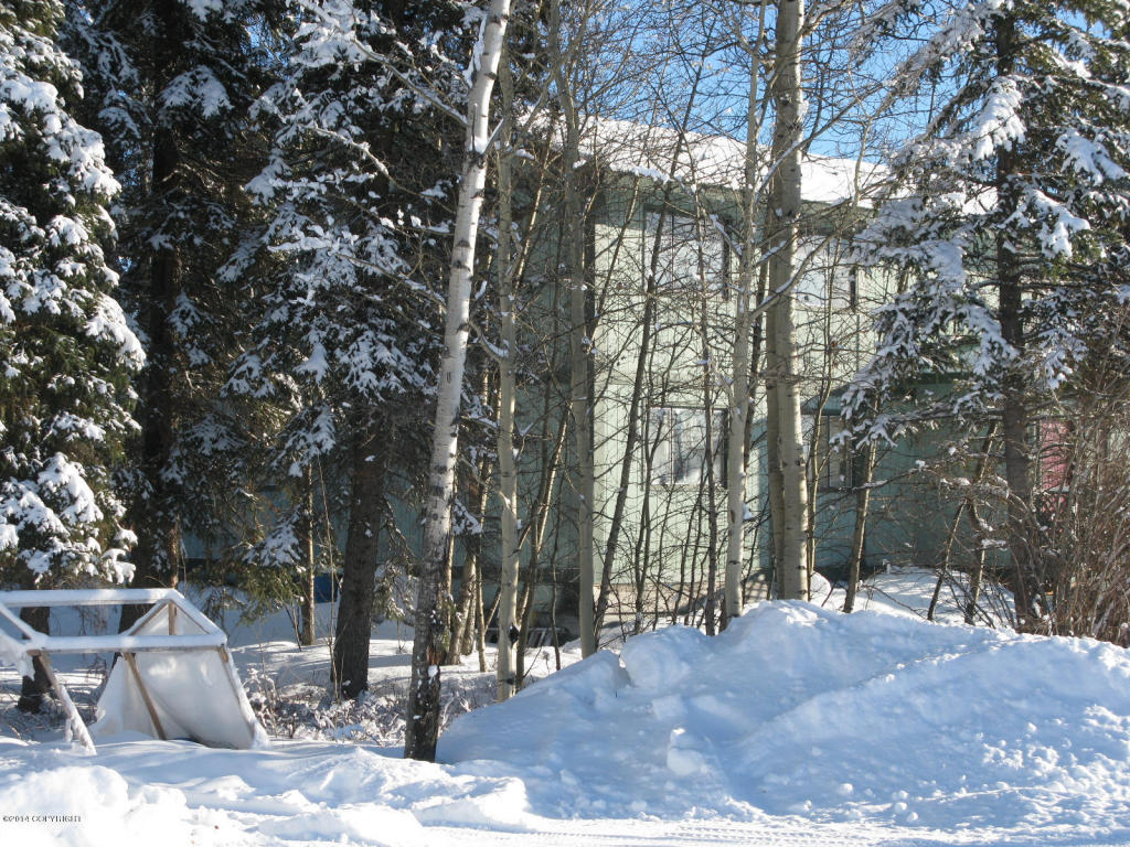 L1A Birch Street, Glennallen, AK 99588