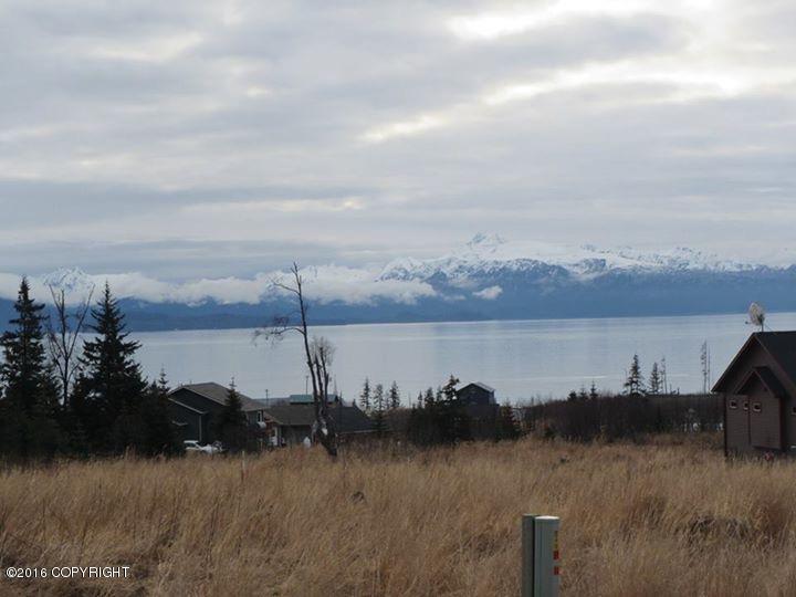 875 Soundview Avenue, Homer, AK 99603