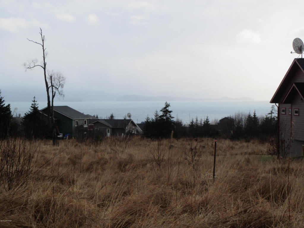 875 Soundview Avenue, Homer, AK 99603