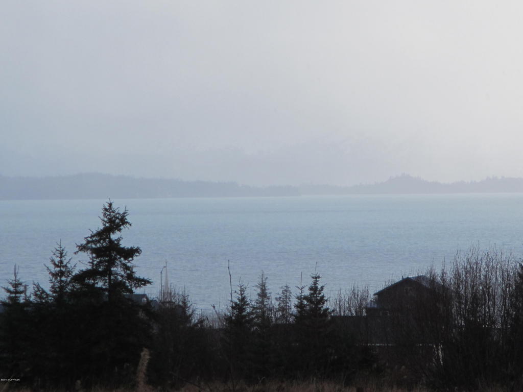 875 Soundview Avenue, Homer, AK 99603