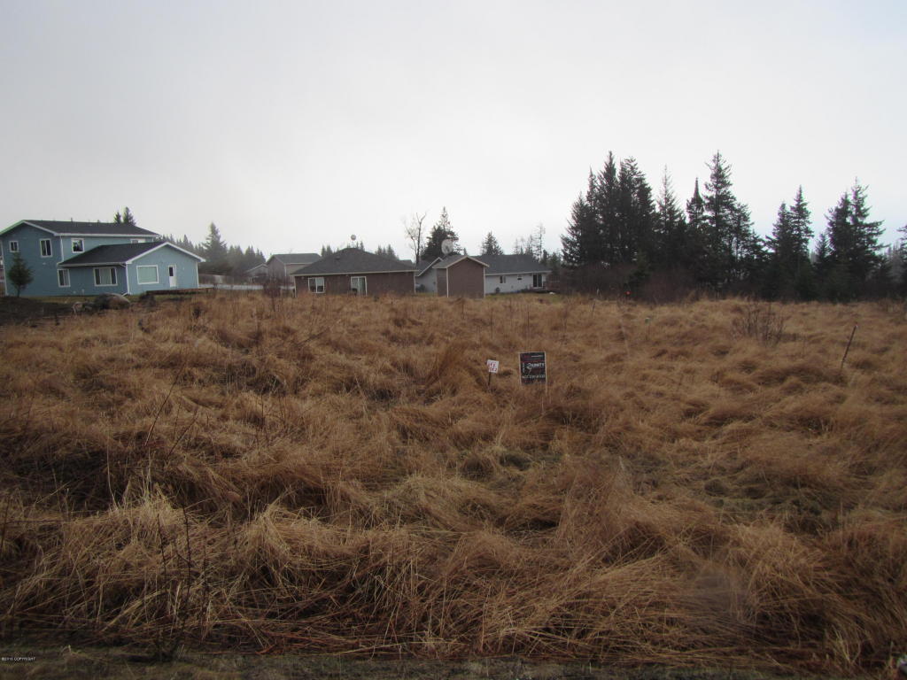 875 Soundview Avenue, Homer, AK 99603