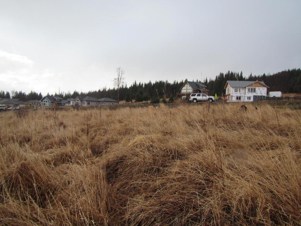 875 Soundview Avenue, Homer, AK 99603