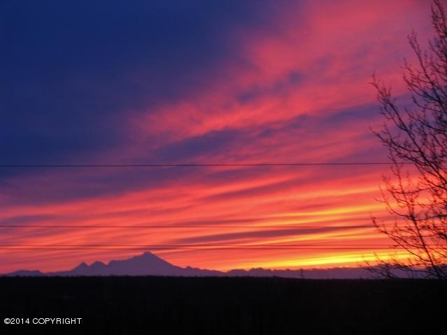 1510Kittiwake Ct, Kenai, United States 99611