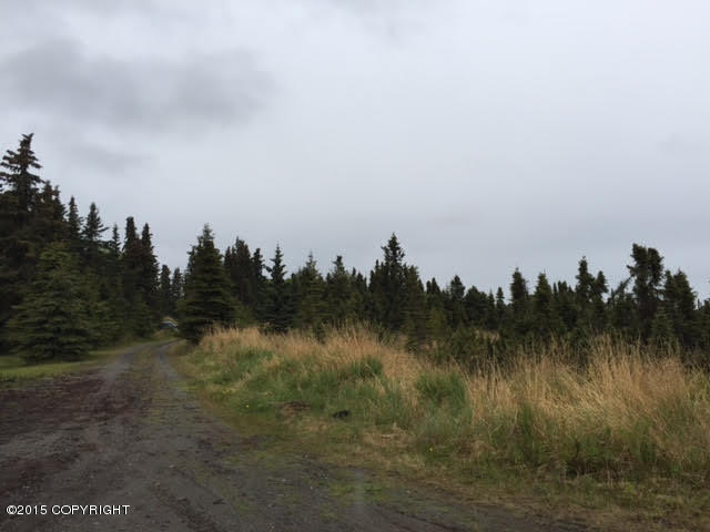Mi 9Kalifornsky Beach Rd, Kenai, United States 99611