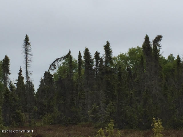 Mi 9Kalifornsky Beach Rd, Kenai, United States 99611
