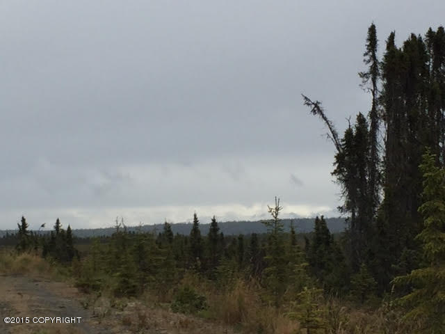 Mi 9Kalifornsky Beach Rd, Kenai, United States 99611