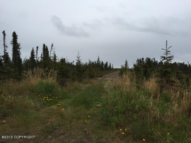 Mi 9Kalifornsky Beach Rd, Kenai, United States 99611