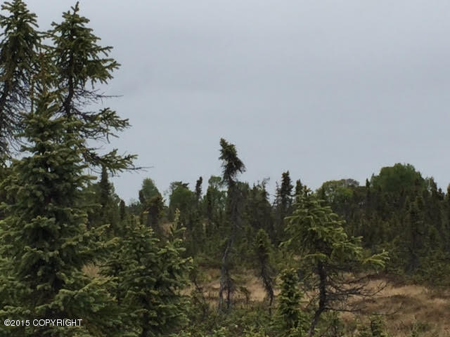 Mi 9Kalifornsky Beach Rd, Kenai, United States 99611