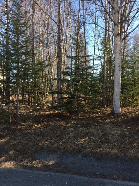 1126First St, Kenai, United States 99611