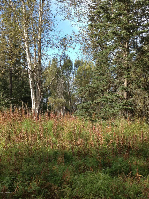 2714Alpine Ave, Kenai, United States 99611