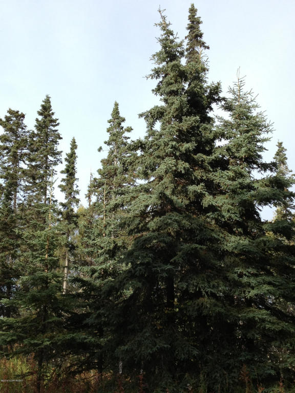 2714Alpine Ave, Kenai, United States 99611
