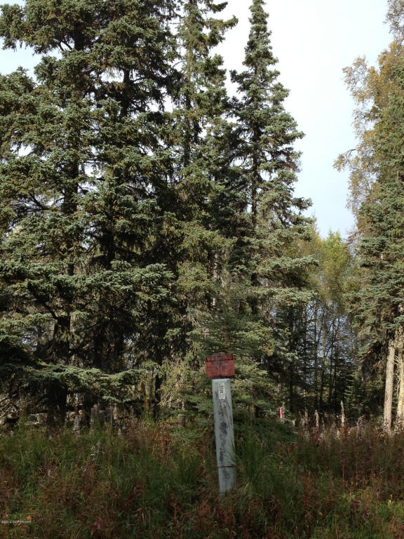 2714Alpine Ave, Kenai, United States 99611
