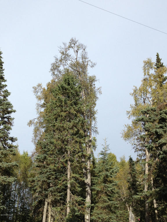 2714Alpine Ave, Kenai, United States 99611