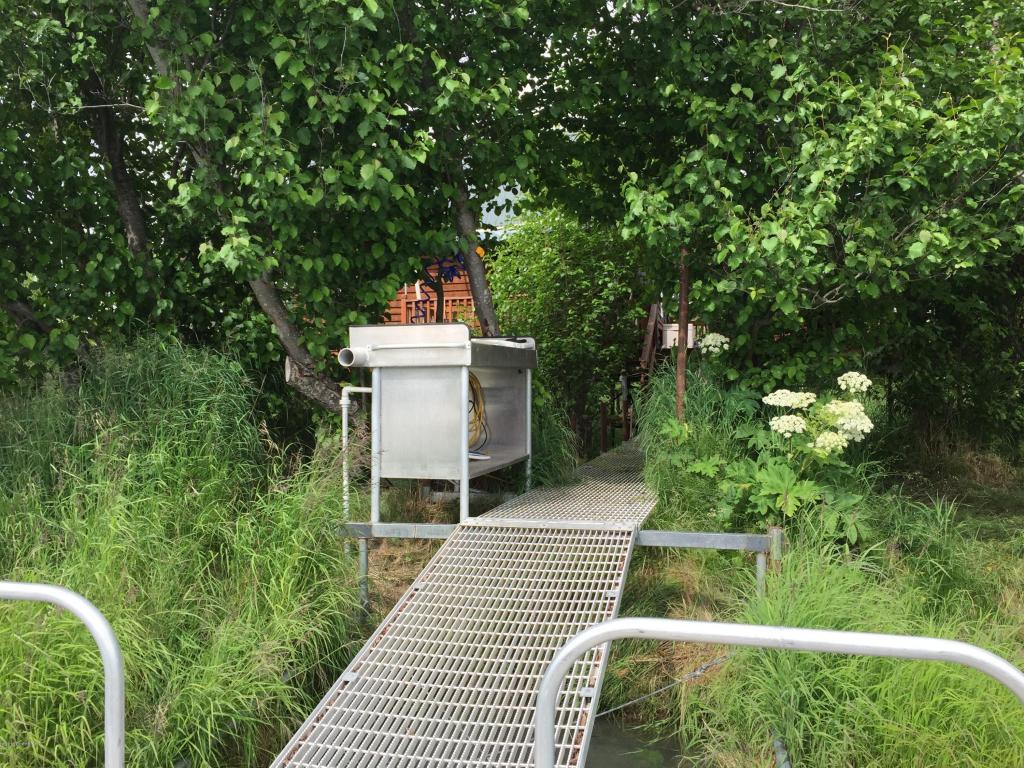 45603Caught A Snag Rd, Kenai, United States 99611