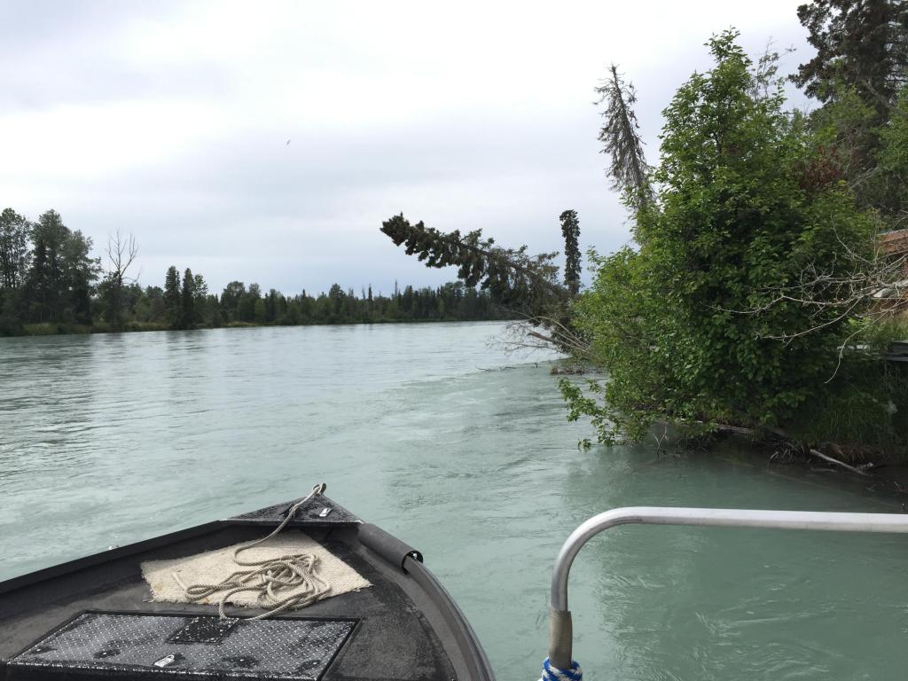 45603Caught A Snag Rd, Kenai, United States 99611
