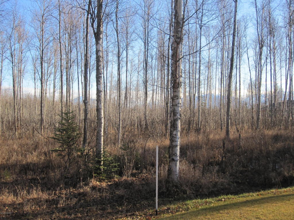 7567 S Settlers Bay Drive, Wasilla, AK 99623