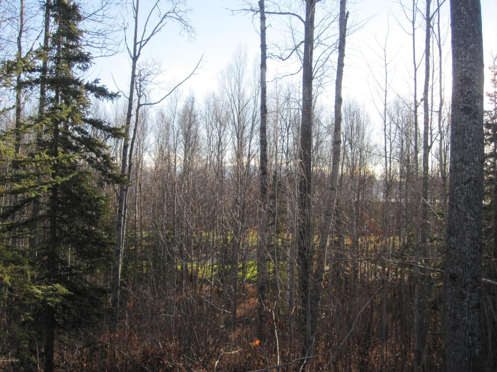 7645 S Settlers Bay Drive, Wasilla, AK 99623