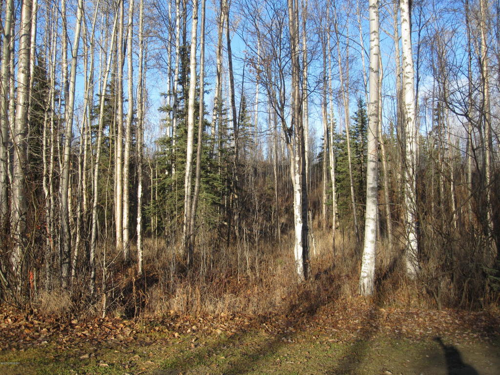 7645 S Settlers Bay Drive, Wasilla, AK 99623