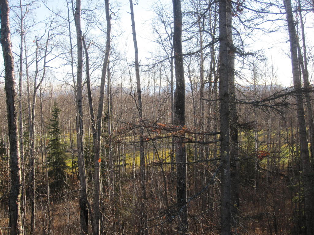 7671 S Settlers Bay Drive, Wasilla, AK 99623