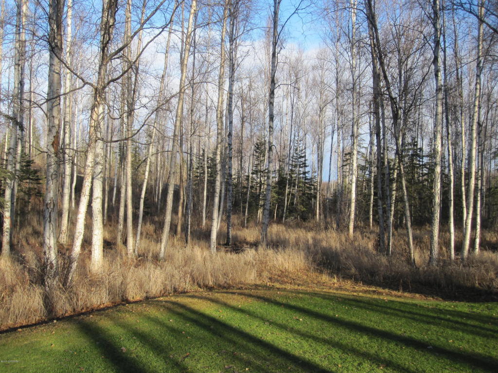 7603 S Settlers Bay Drive, Wasilla, AK 99623