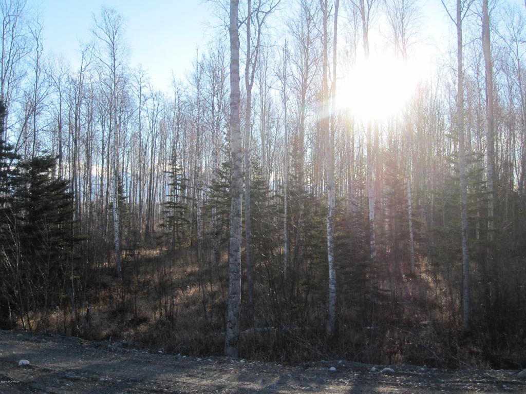 7603 S Settlers Bay Drive, Wasilla, AK 99623
