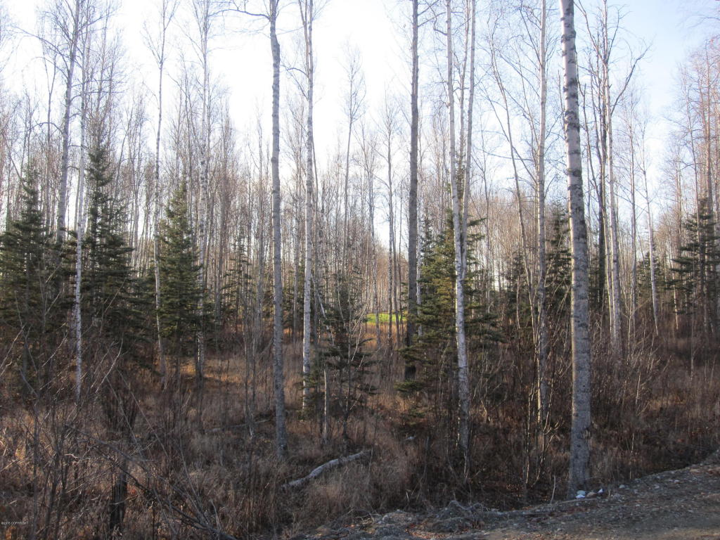 7603 S Settlers Bay Drive, Wasilla, AK 99623