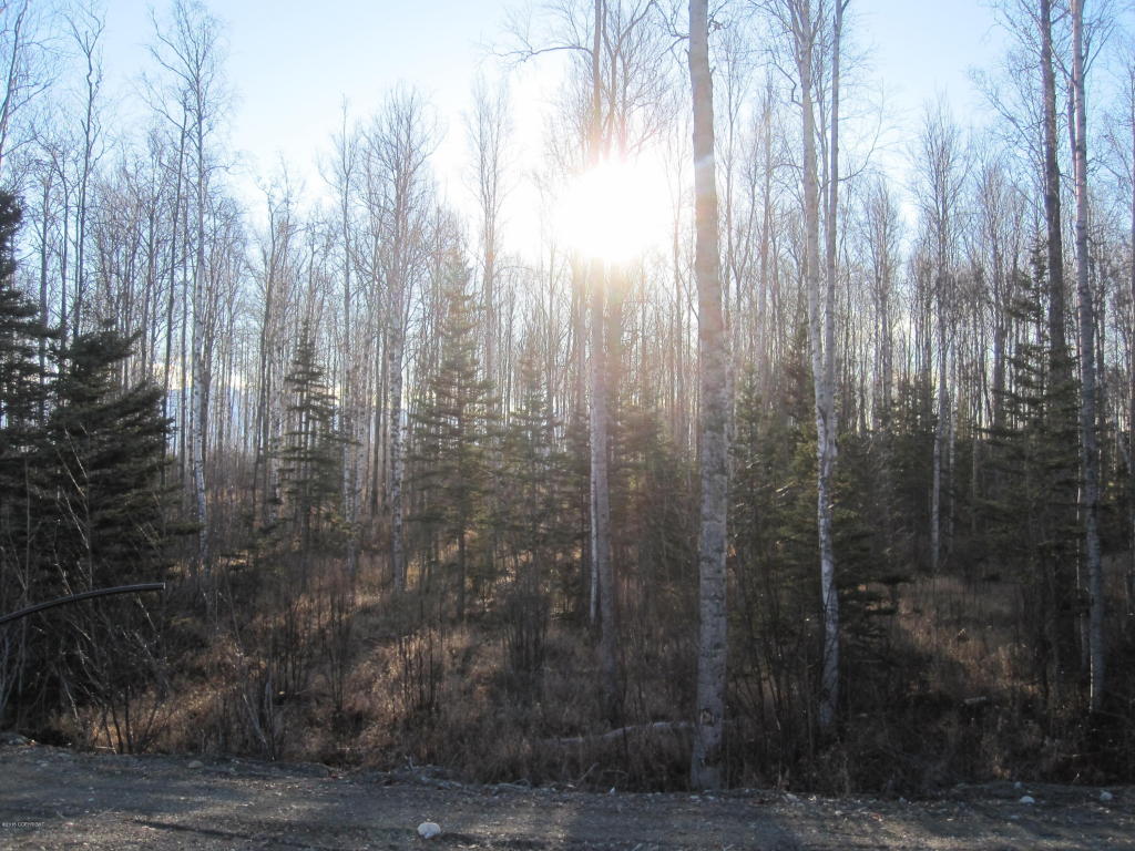 7603 S Settlers Bay Drive, Wasilla, AK 99623