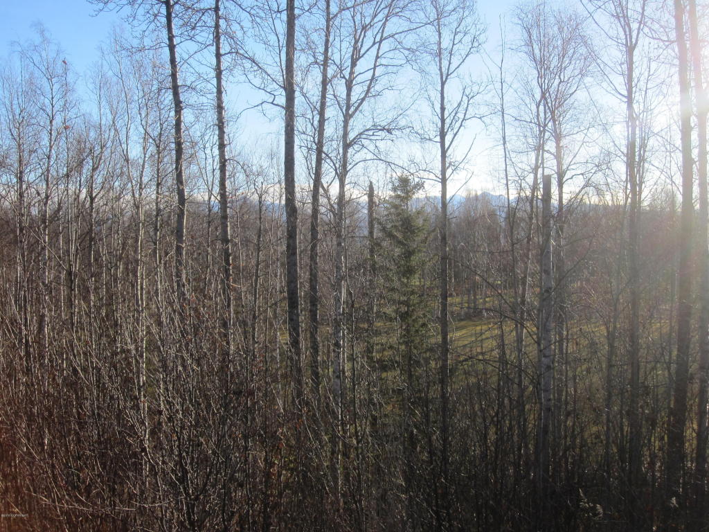 7695 S Settlers Bay Drive, Wasilla, AK 99623