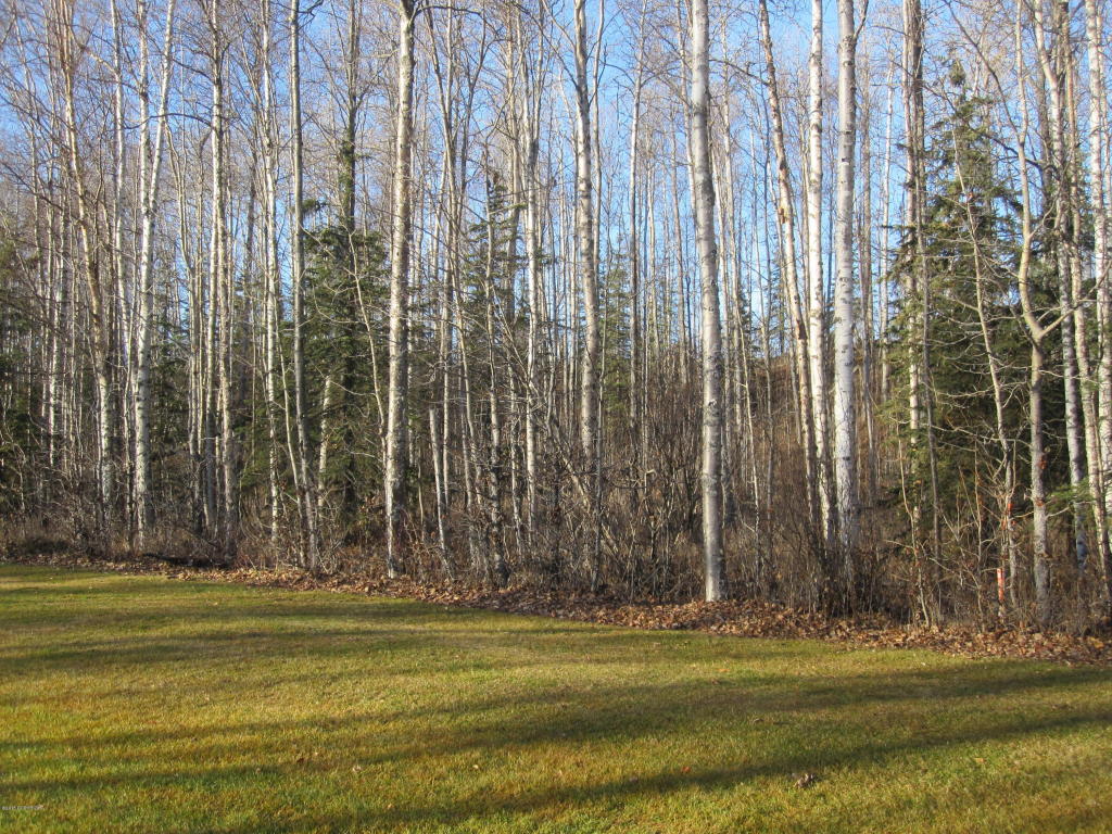 7695 S Settlers Bay Drive, Wasilla, AK 99623