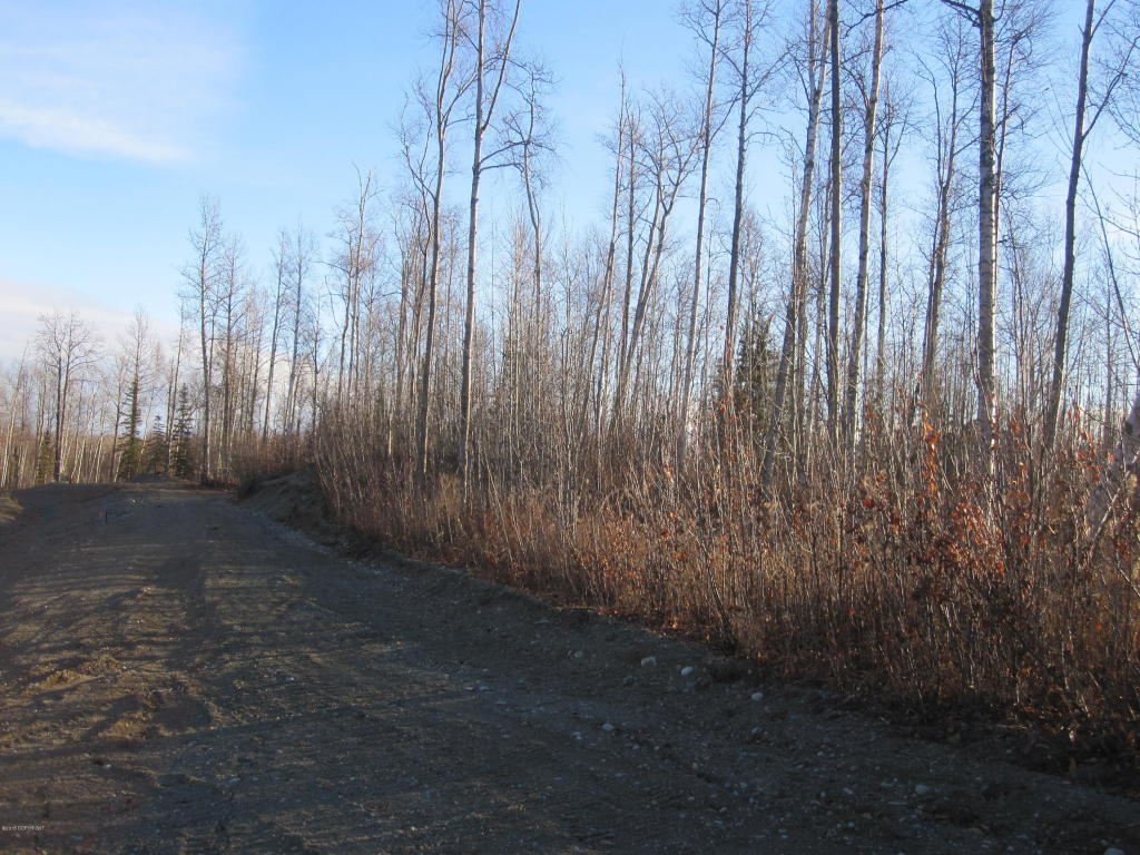 7695 S Settlers Bay Drive, Wasilla, AK 99623