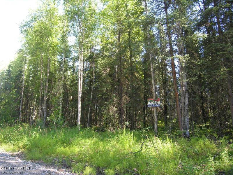 3811 N Wyoming Drive, Wasilla, AK 99623