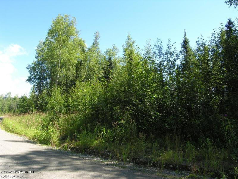 3811 N Wyoming Drive, Wasilla, AK 99623