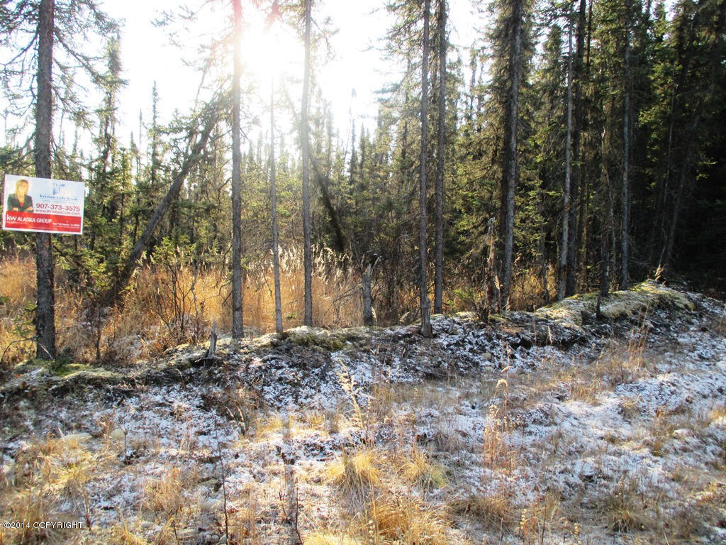 3811 N Wyoming Drive, Wasilla, AK 99623