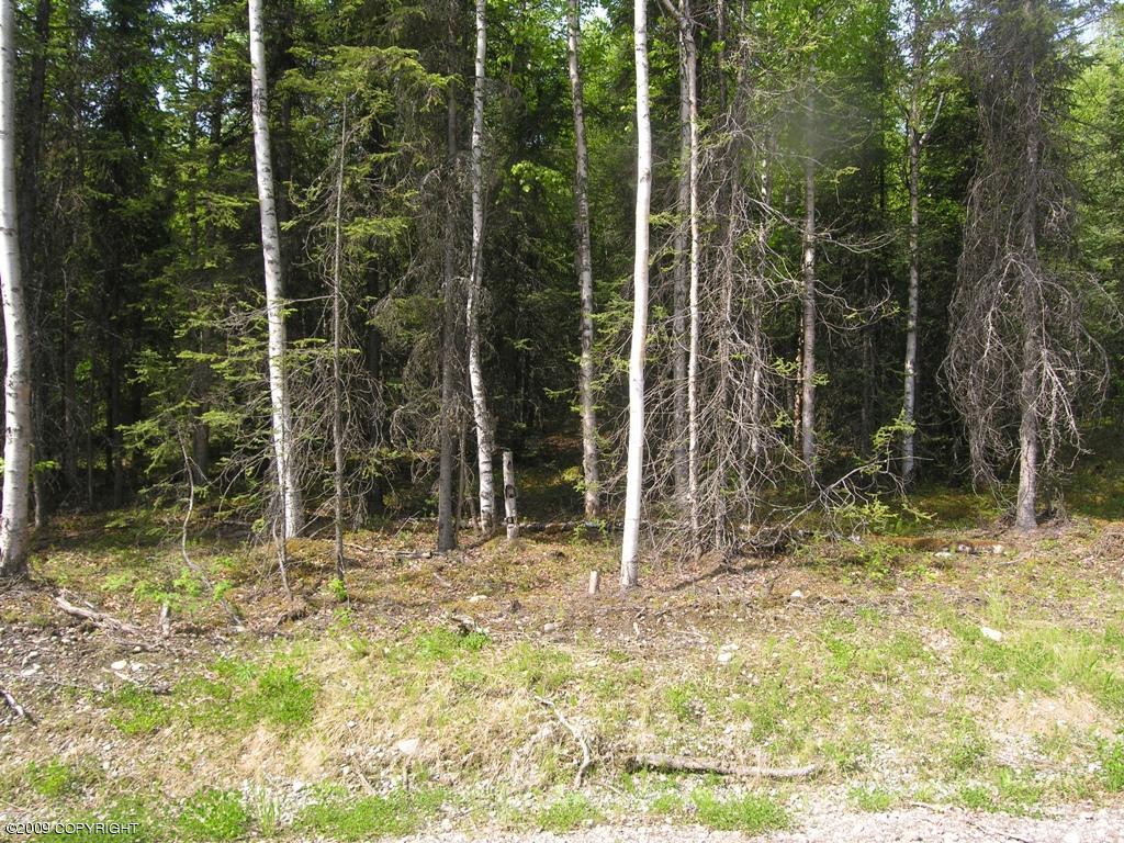 3790 N Wyoming Drive, Wasilla, AK 99623